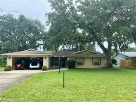 2621 ORANGE TREE