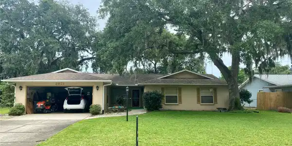 2621 ORANGE TREE