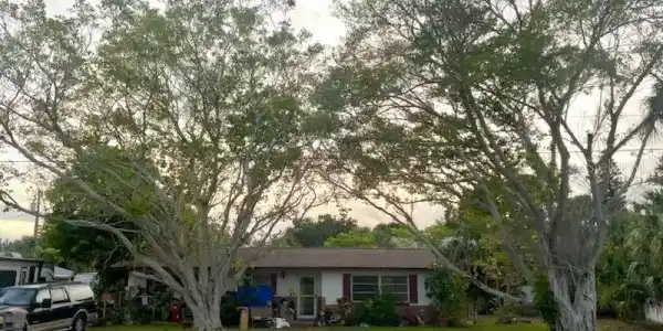 1400 BAY PALM BOULEVARD