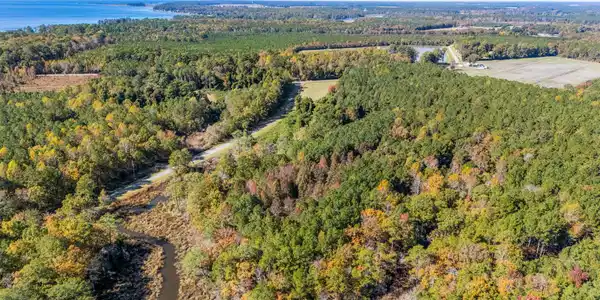 Image 4: 11-web-or-mls-DJI_20251104114037_0609_D