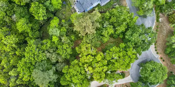 Image 4: Aerial Top