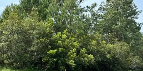 197 Landing Road