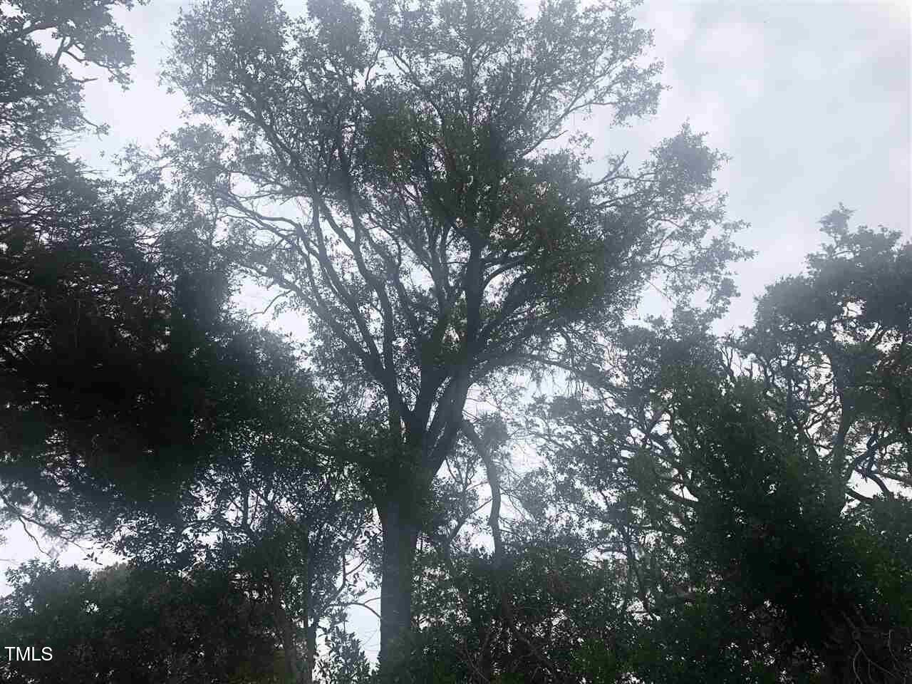 Image 4: 20230922174212549491000000-o