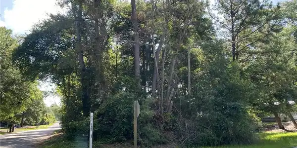 Image 3: Photo 3