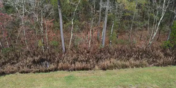 Image 3: 28 Acre 3