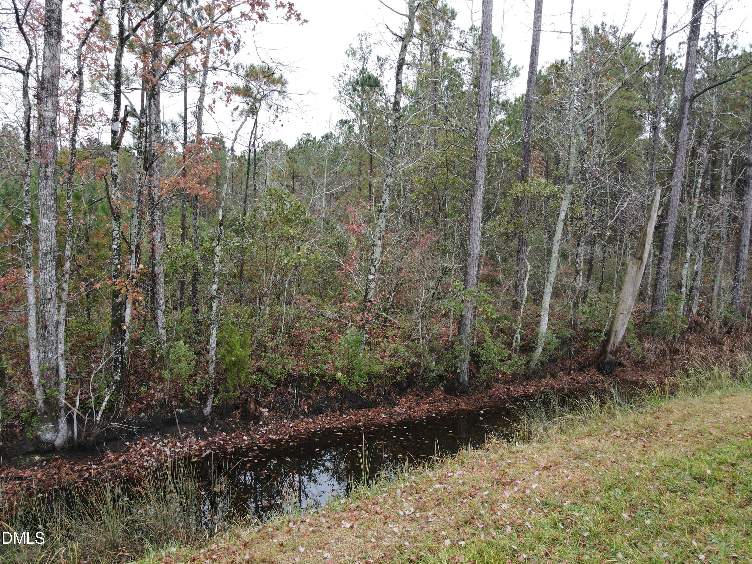 Image 4: 28 Acre 4