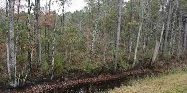 Image 4: 28 Acre 4