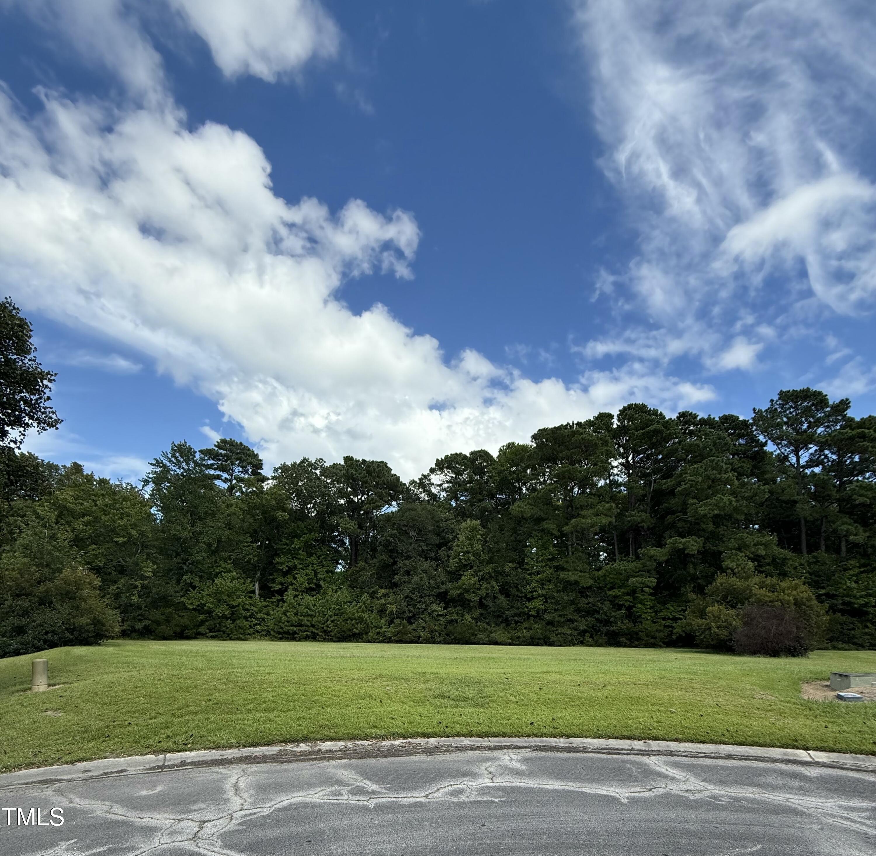 Image 3: IMG_1782
