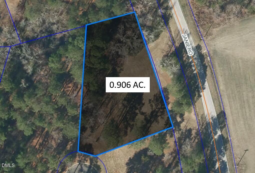 Image 2: Picture10
