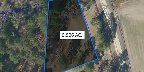 Image 2: Picture10