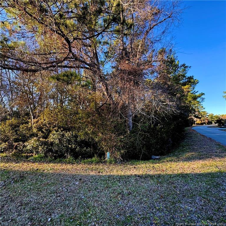 Image 3: Photo 3