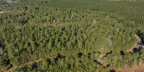 Image 3: 2-web-or-mls-DJI_0808