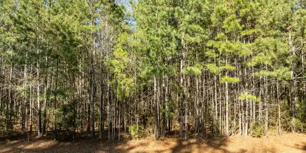Image 4: 3-web-or-mls-DJI_0820